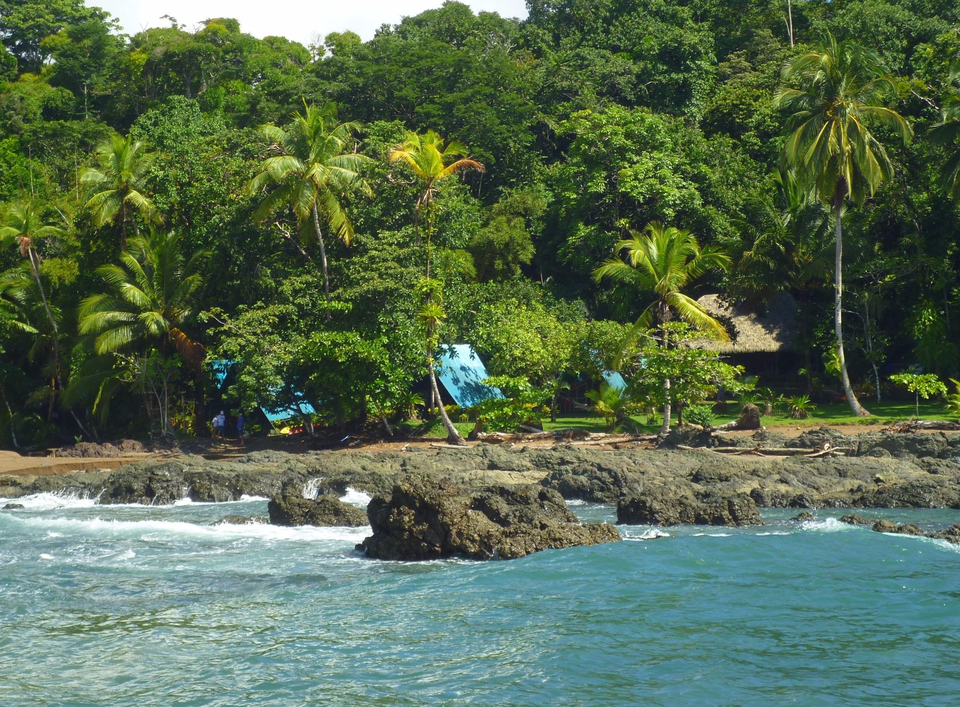 Corcovado Adventures by null