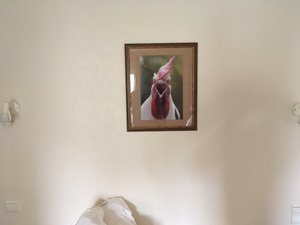 Habitaciones y suites