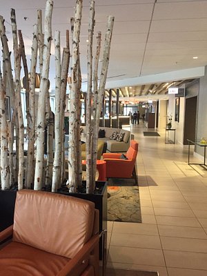 SPRINGHILL SUITES CHICAGO SCHAUMBURG/WOODFIELD MALL $107 ($̶1̶2̶3̶) -  Updated 2023 Prices & Hotel Reviews - IL