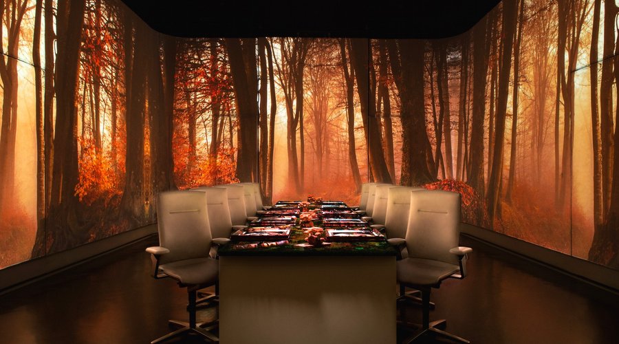 UV ROOM-WOODS AUTUMN