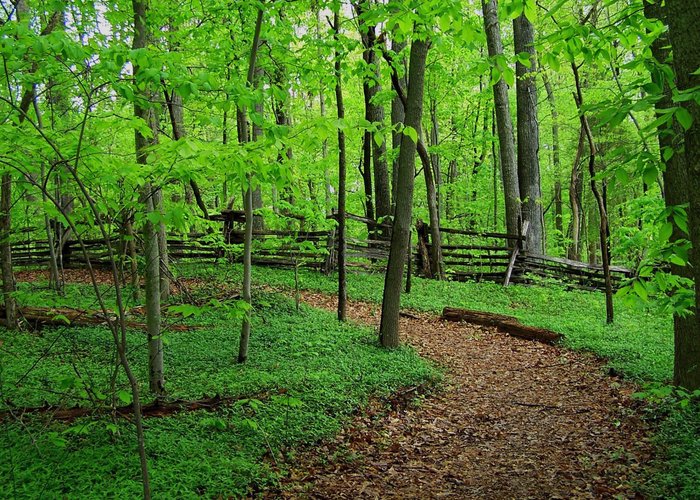 Bethabara Park - All You Need to Know BEFORE You Go (with Photos)
