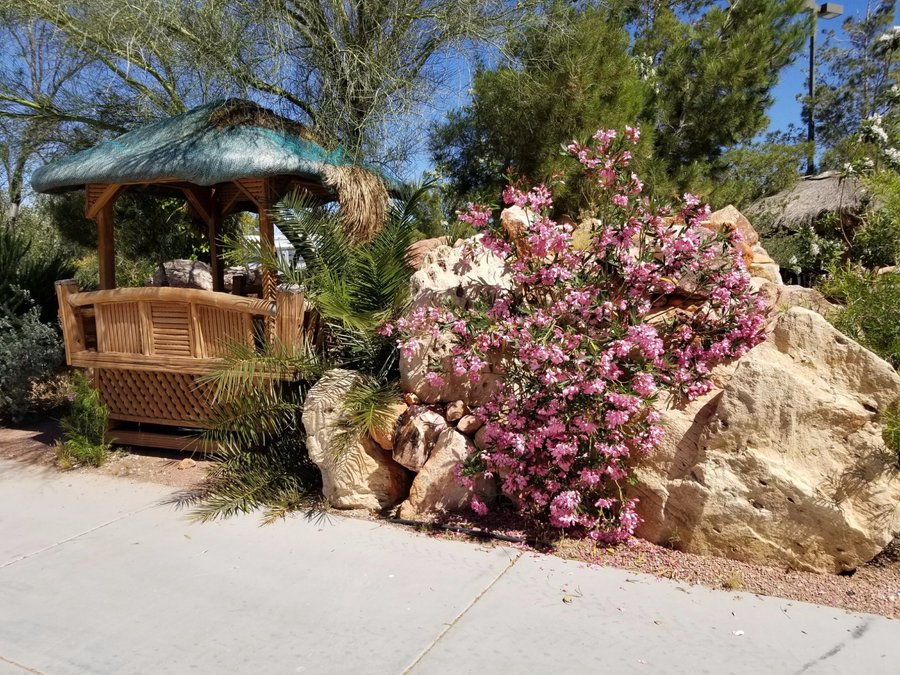 Nevada Treasure Rv Resort Updated 2020 Campground Reviews Pahrump Tripadvisor