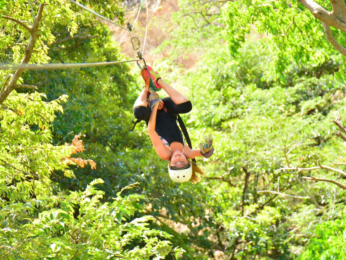 Spider Monkey Canopy Tour (La Cruz) - All You Need to Know BEFORE You Go