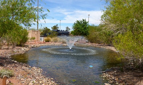 Flowering trees and peaceful water make a nice contrast to the desert area around the museum.