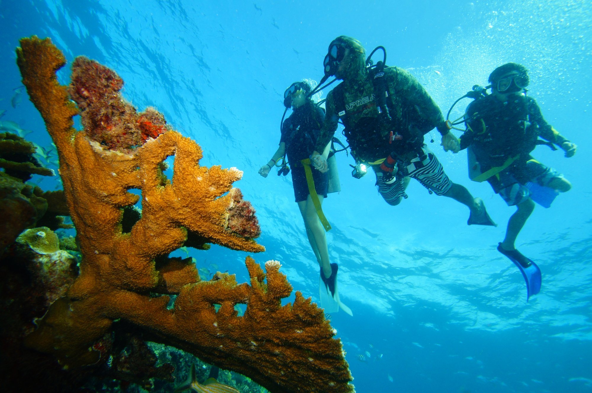 scuba total cancun reviews