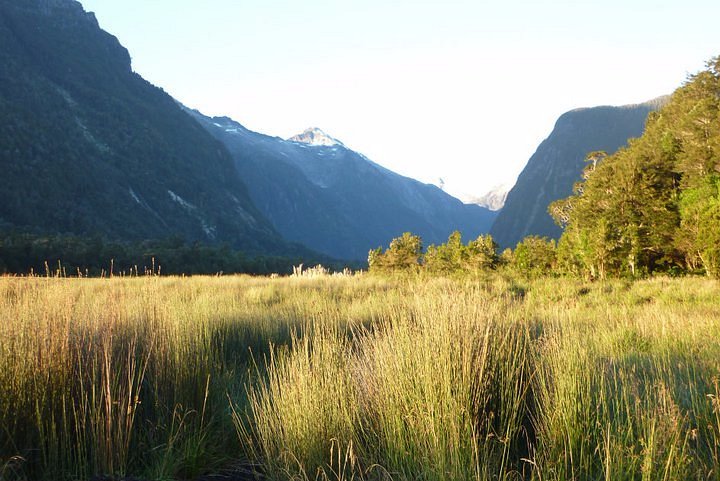 Hornopiren National Park image