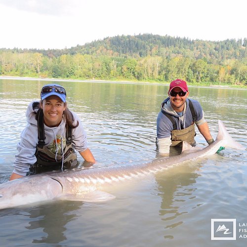 THE 10 BEST Vancouver Fishing Charters & Tours (Updated 2024)