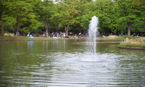 中央あたりにある噴水