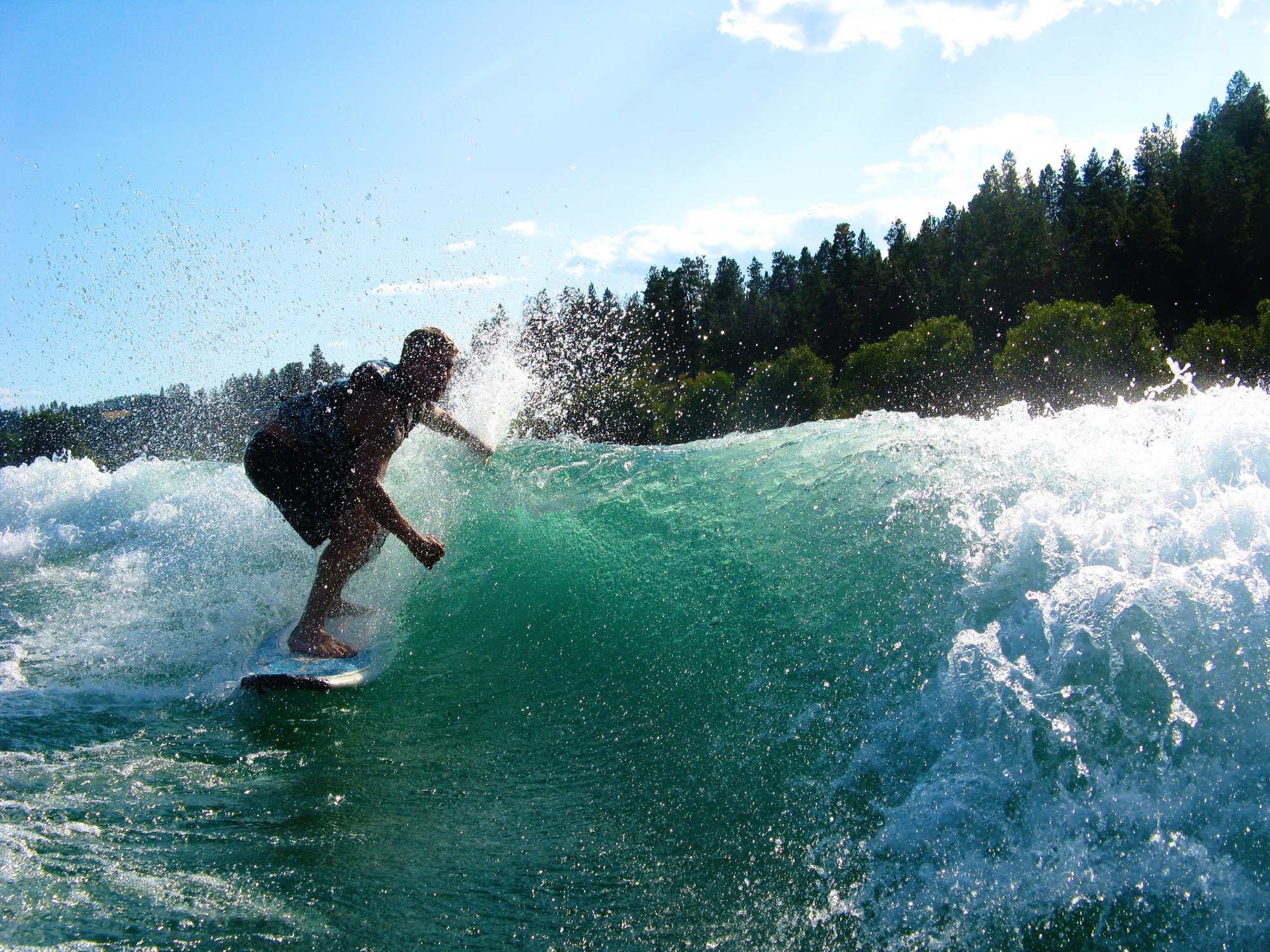 shape your own surfboard