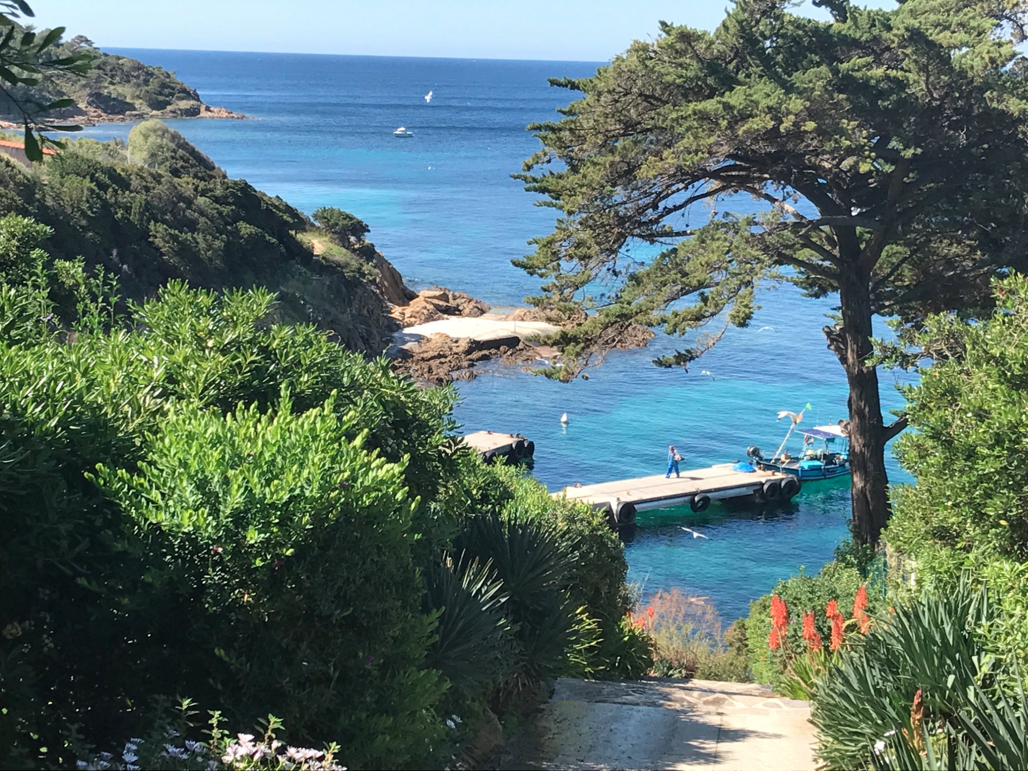 LA BRISE MARINE - Prices & Hotel Reviews (Ile du Levant, France)