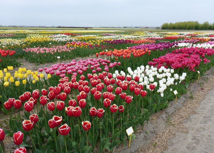 Floratuin am 01.05.2017
