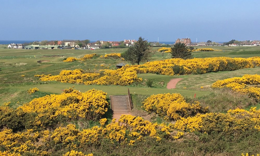 Troon 2021: Best of Troon, Scotland Tourism - Tripadvisor