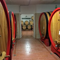 Aging barrels at the winery!
