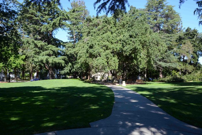 lawns and walkways
