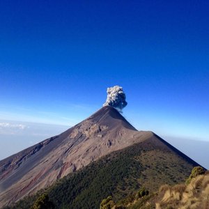 Caoba Farms, Antigua Guatemala: 2018 Visitors Guide - OkAntigua