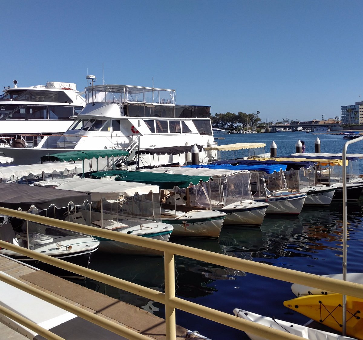 fun tours newport beach