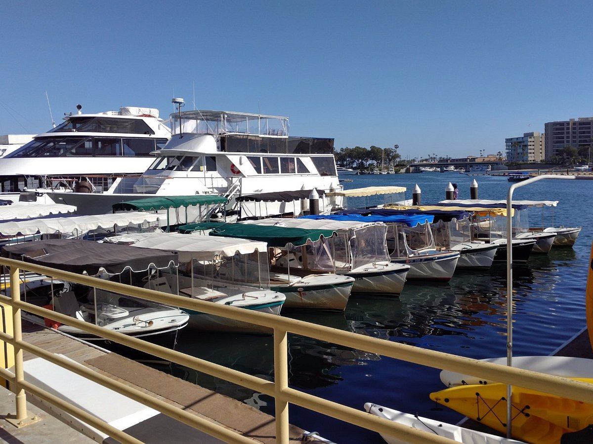 newport fun tours boat rental