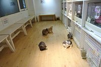 21年 うさぎcafe おひさま 行く前に 見どころをチェック トリップアドバイザー 21年 うさぎcafe おひさま 行く前に 見どころをチェック トリップアドバイザー
