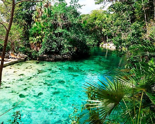 Nature of Quintana Roo