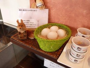 餐饮