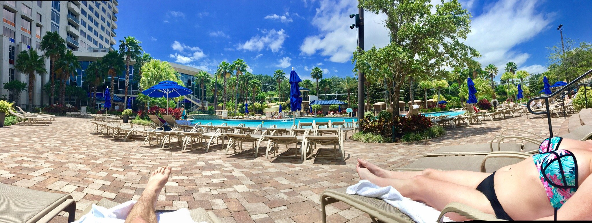 Hotel photo 102 of Hyatt Regency Orlando.