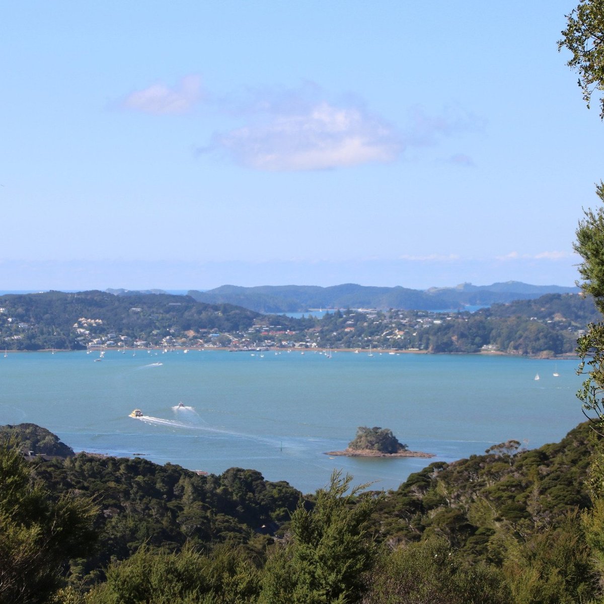 Opua Forest Lookout Track - All You Need to Know BEFORE You Go (2024)