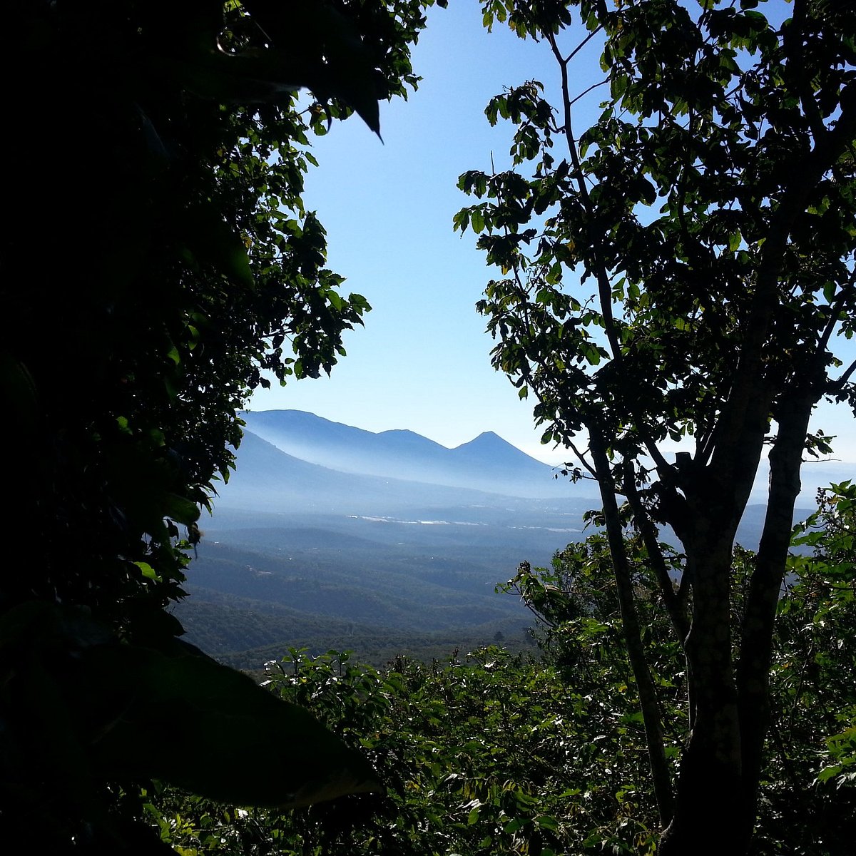 juayua coffee tour