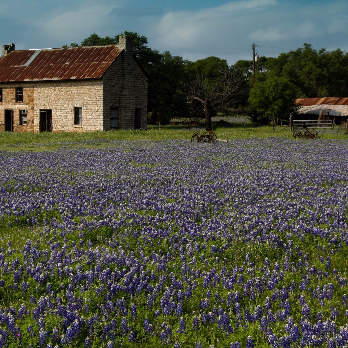 The Bluebonnet House - All You Need to Know BEFORE You Go (2024)