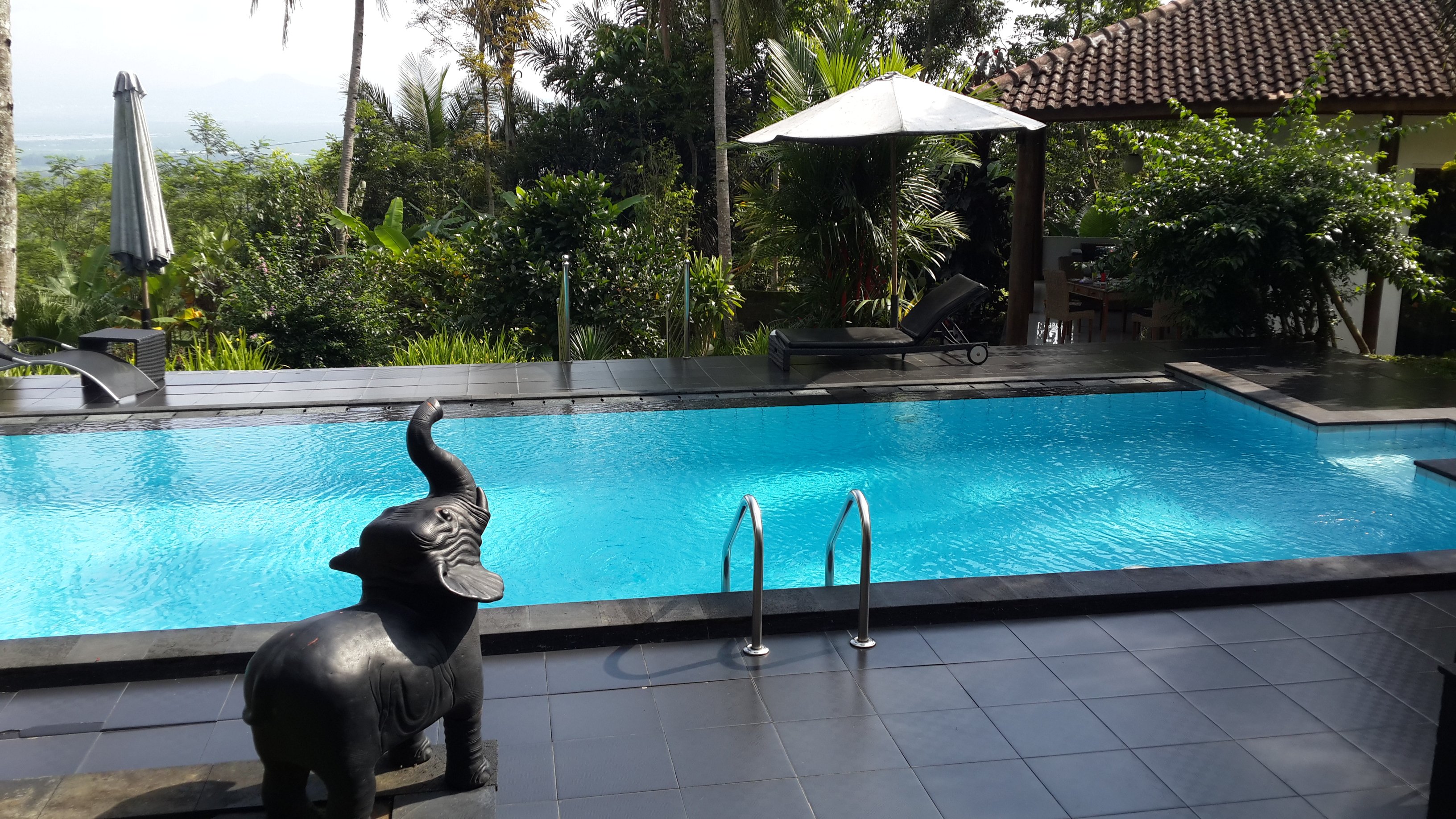Hotel photo 1 of Guesthouse Oase van Java.