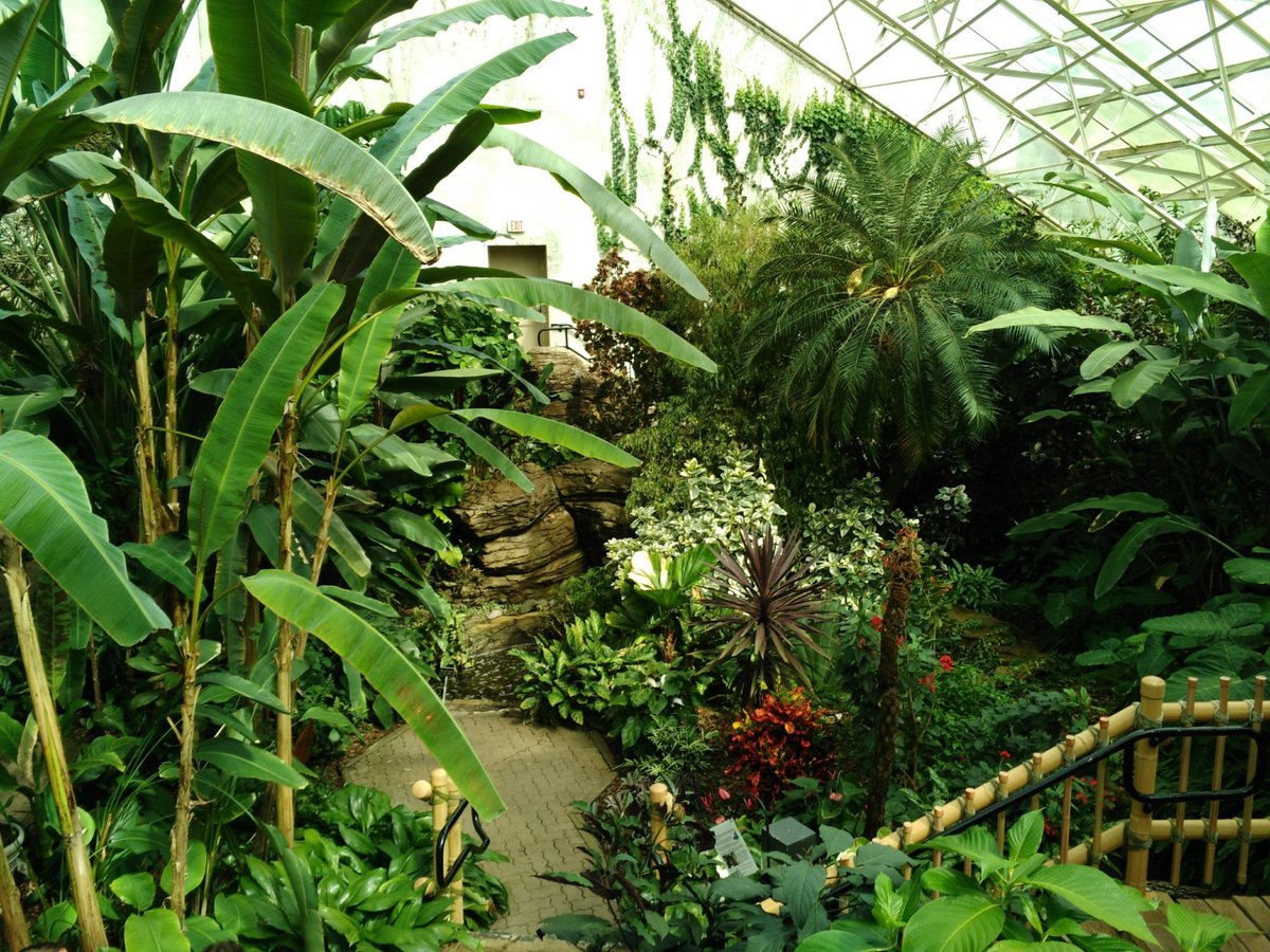 Foellinger-freimann Botanical Conservatory (fort Wayne) - All You Need 