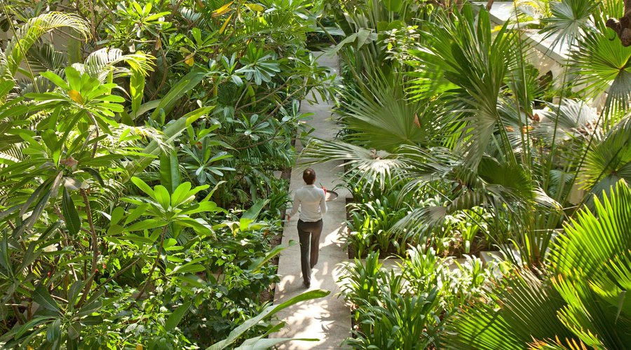 Garden view 