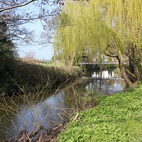 Spring on the River Alyn