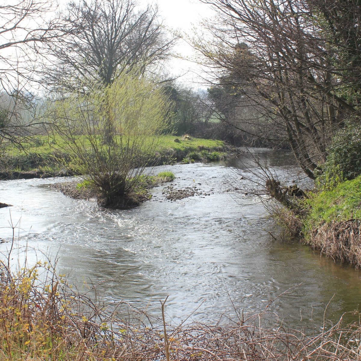 RIVER ALYN (Mold) - All You Need to Know BEFORE You Go