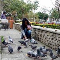 Banqiao Nongcun Park