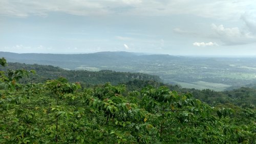 Yogyakarta Region review images