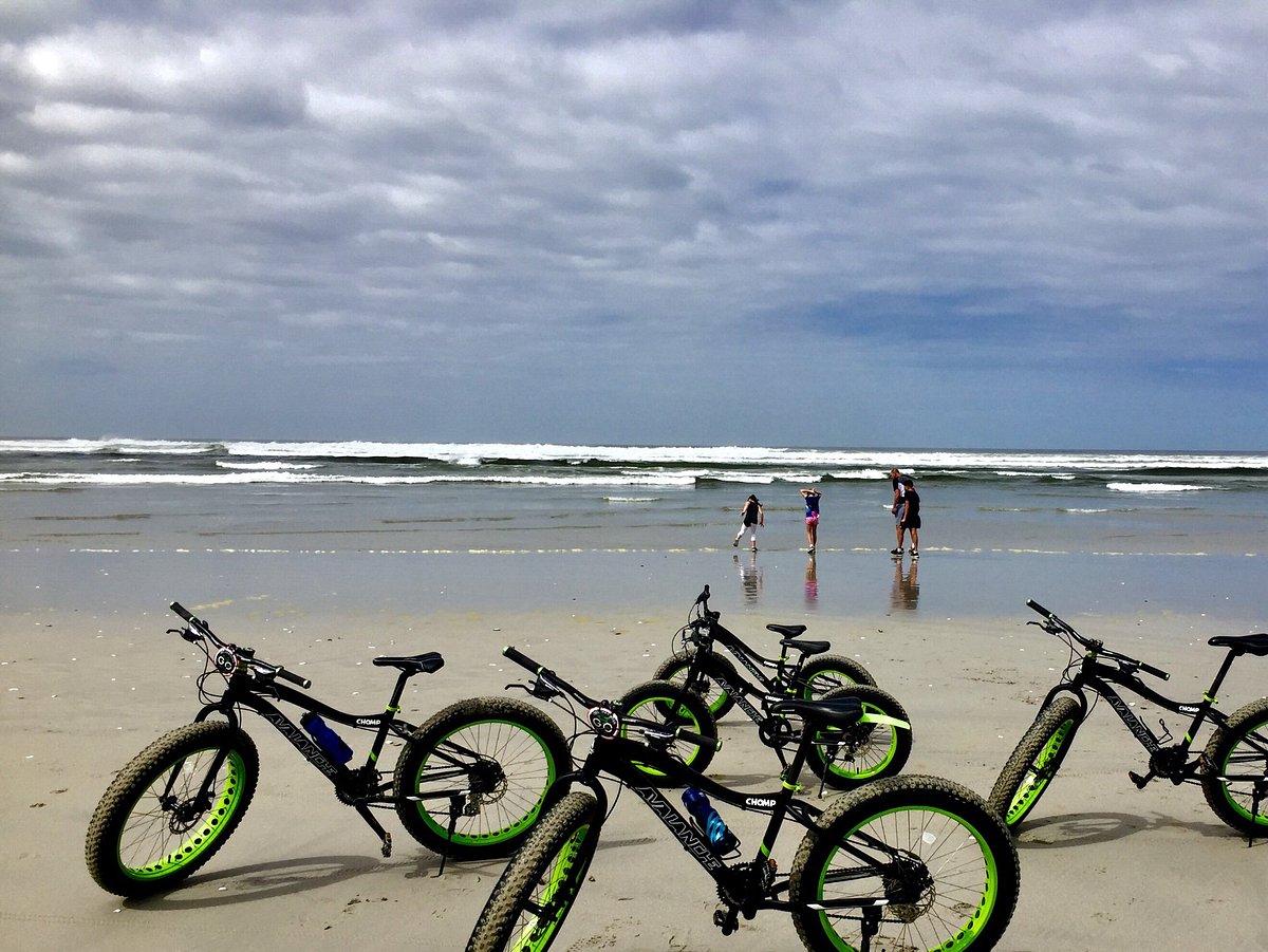 fat bike tours hermanus