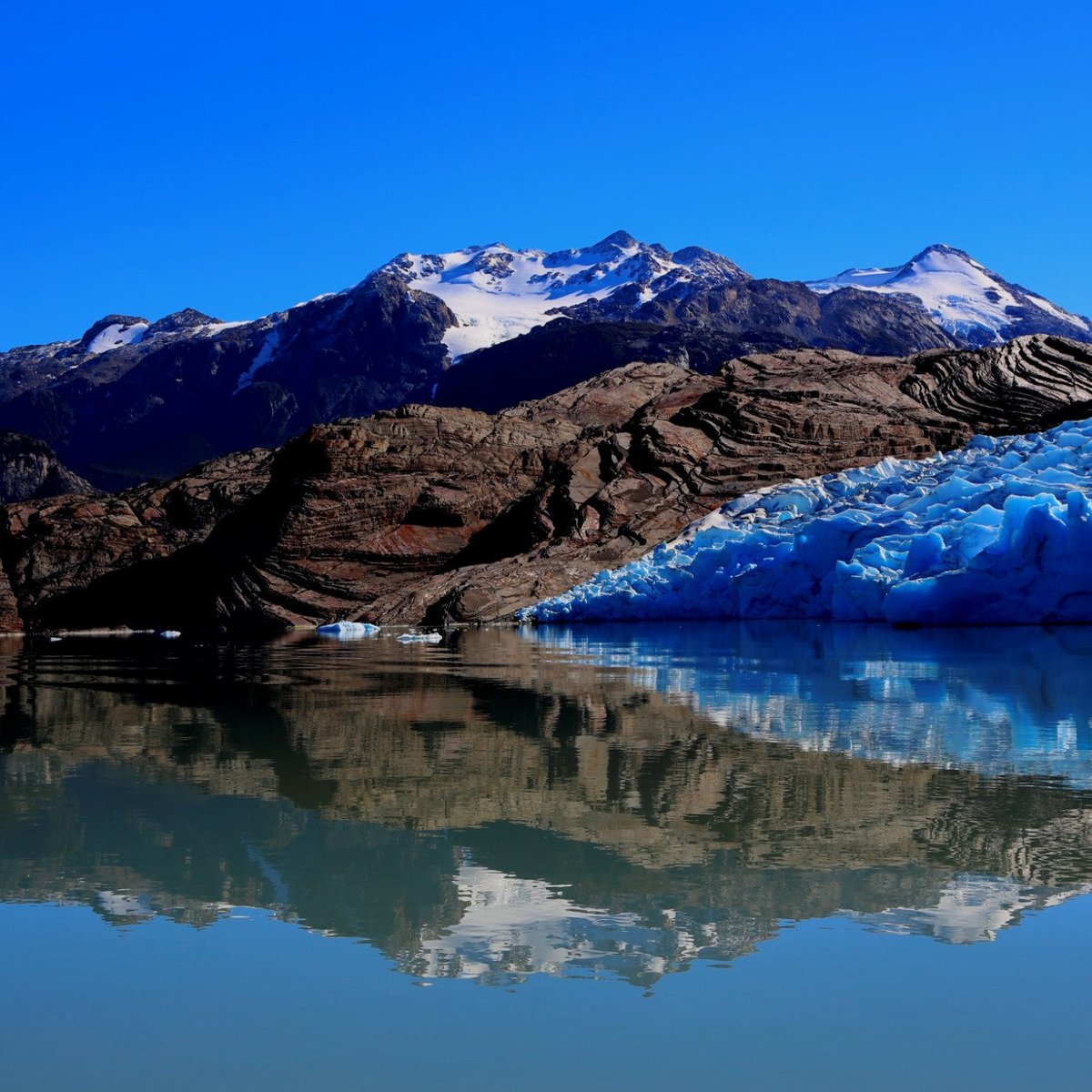 GLACIAR GREY: Tutto quello che c'è da sapere (AGGIORNATO 2024)