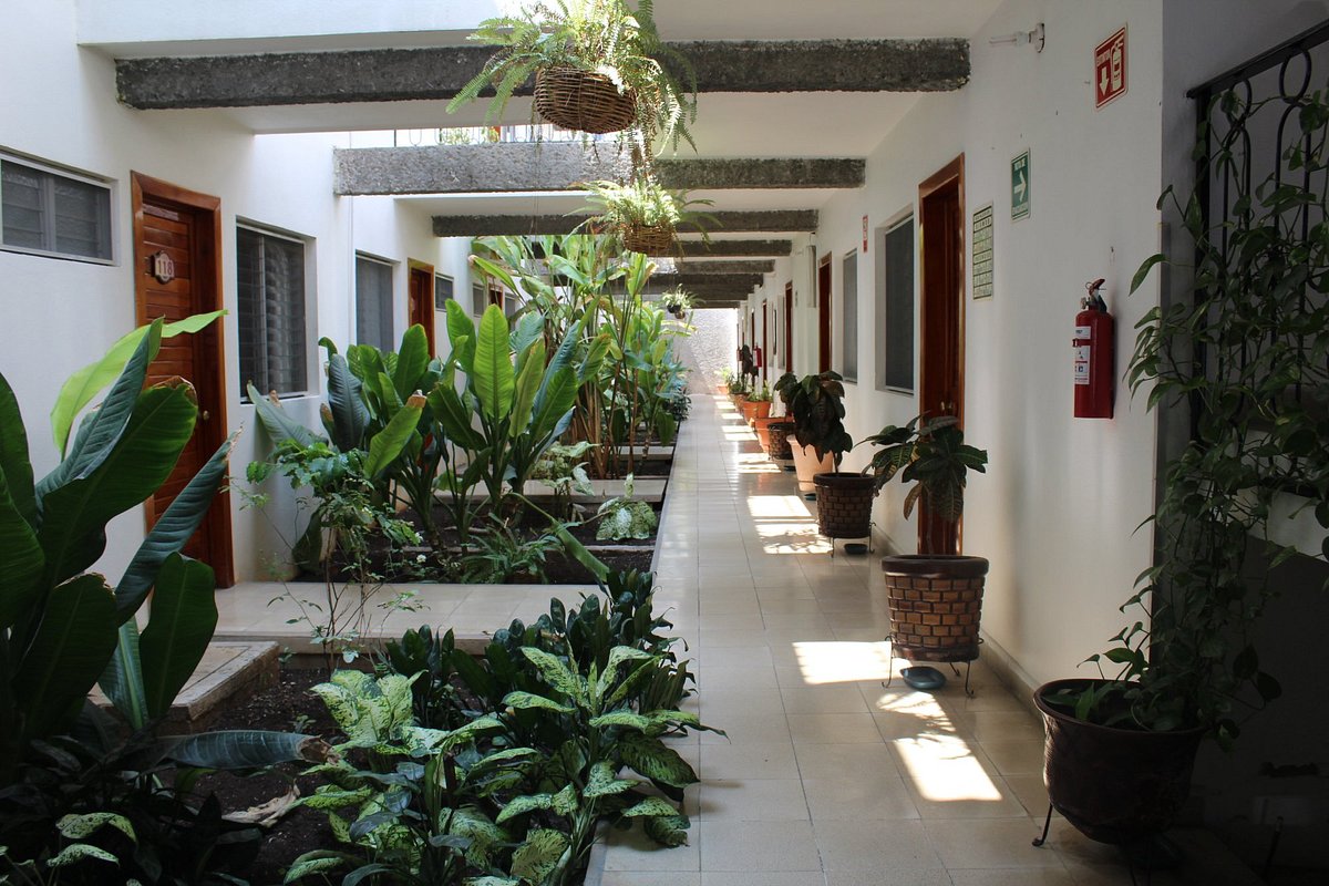 HACIENDA LOS CASCABELES - Farm Hotel Reviews (Tuxtla Gutierrez, Mexico -  Chiapas)