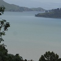 Kauri Bock Walk View Point