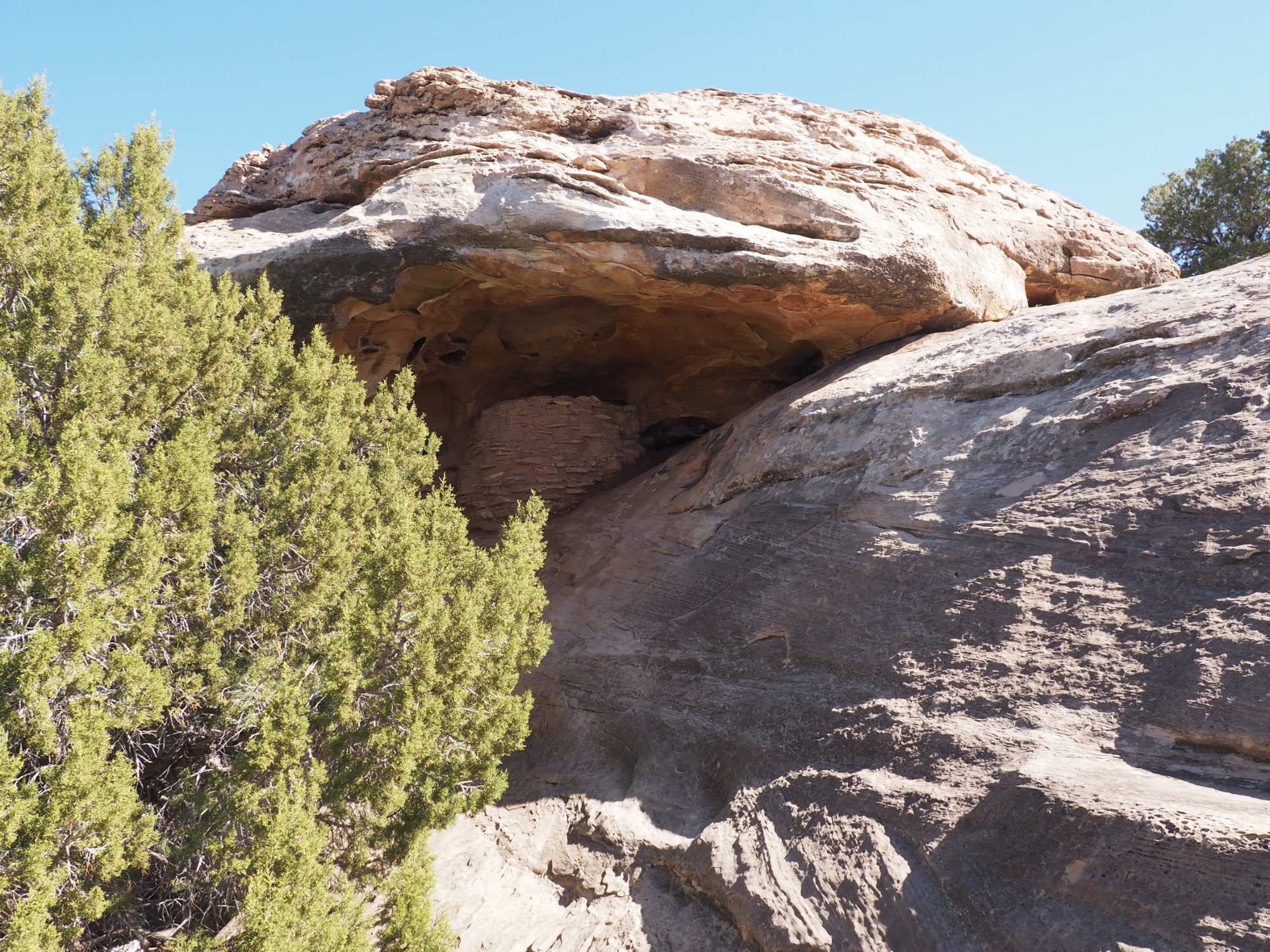 Roadside Ruin Trail (Parque Nacional Canyonlands) - 2022 Lo Que Se Debe ...