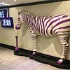 Picture of The Purple Zebra at the Linq, Las Vegas - Tripadvisor