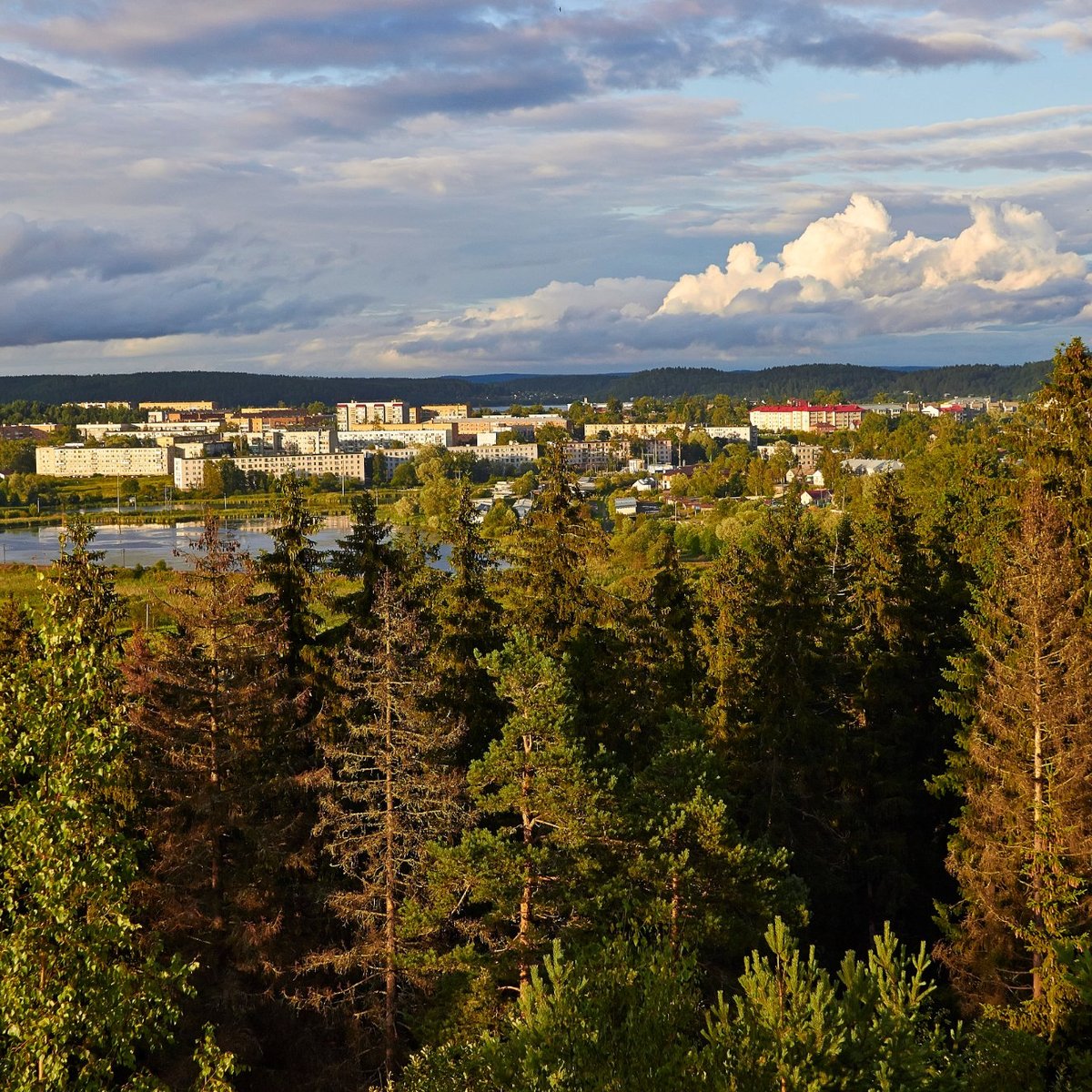 Городской парк 