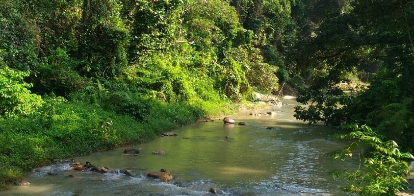 Ampang Receational Forest