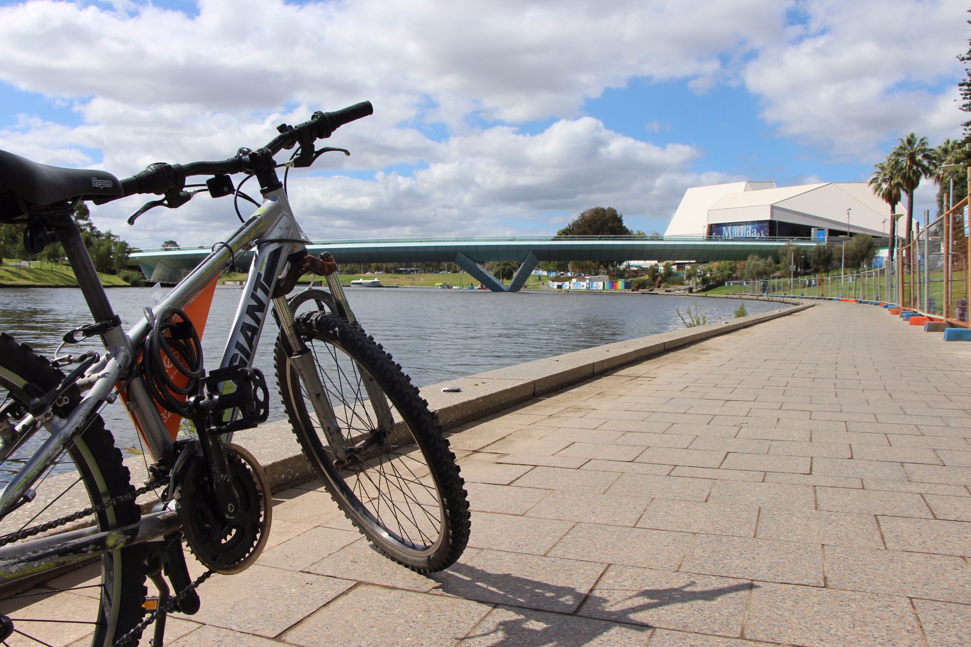 Adelaide Bike Tours All You Need To Know BEFORE You Go 2024   Looking Out On The Beautiful 