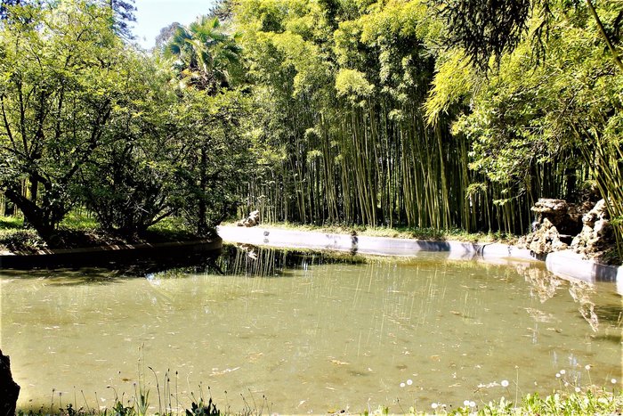 Imagen 5 de Parque Natural Señorío de Bertiz