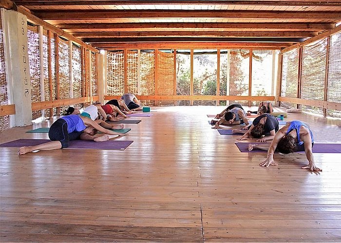 Summer Yoga Retreat – Yoga Australia