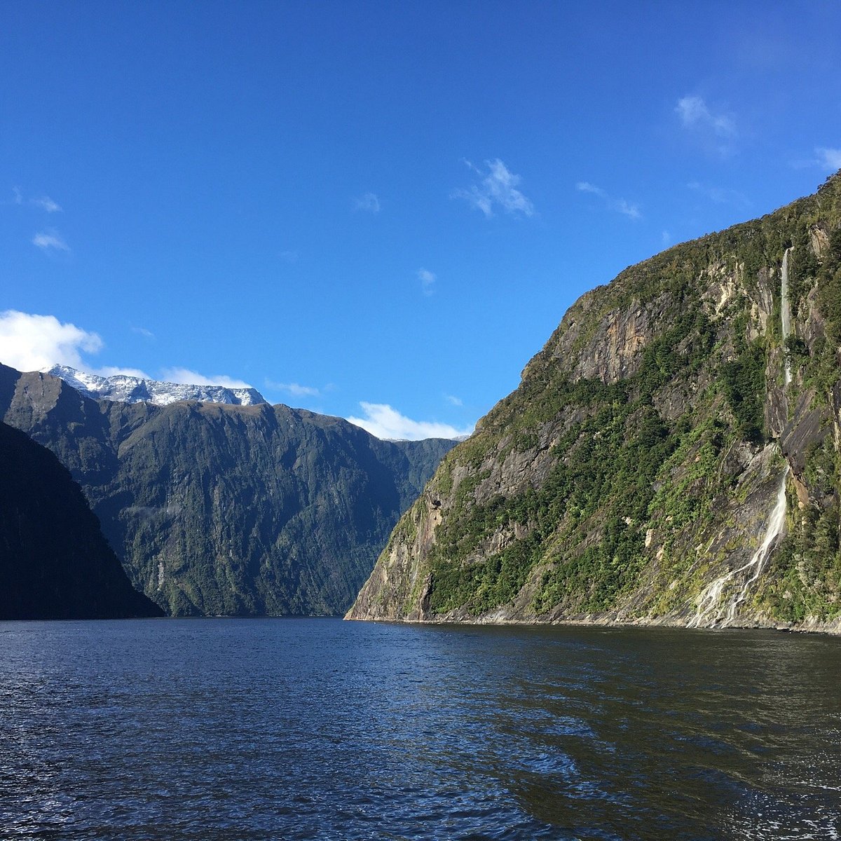 Kiwi Discovery - Milford Sound DayTrip (Queenstown) - All You Need to ...