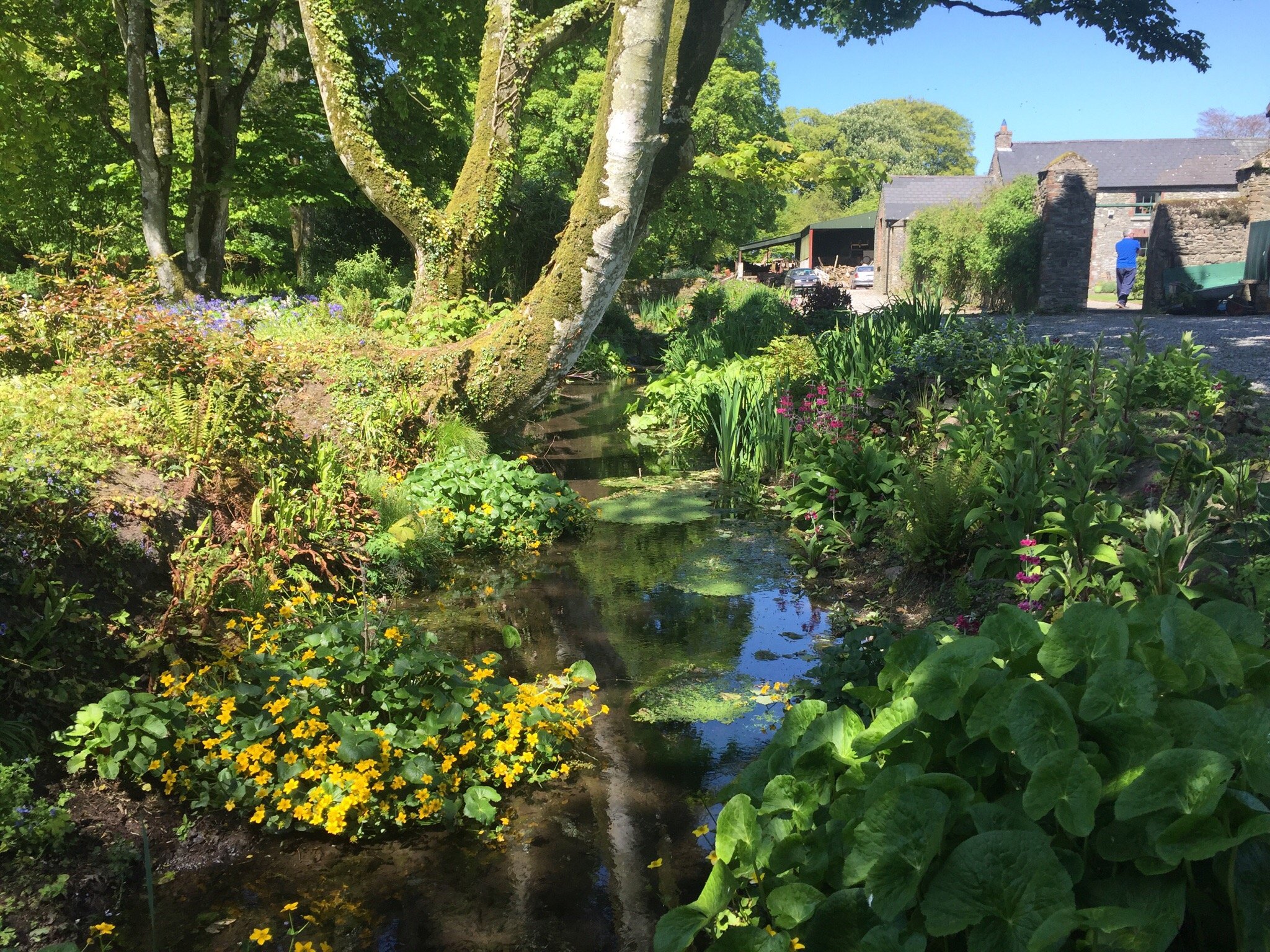 BURTOWN HOUSE & GARDENS (Athy, Irlanda): Opiniones