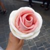 staryu_sg