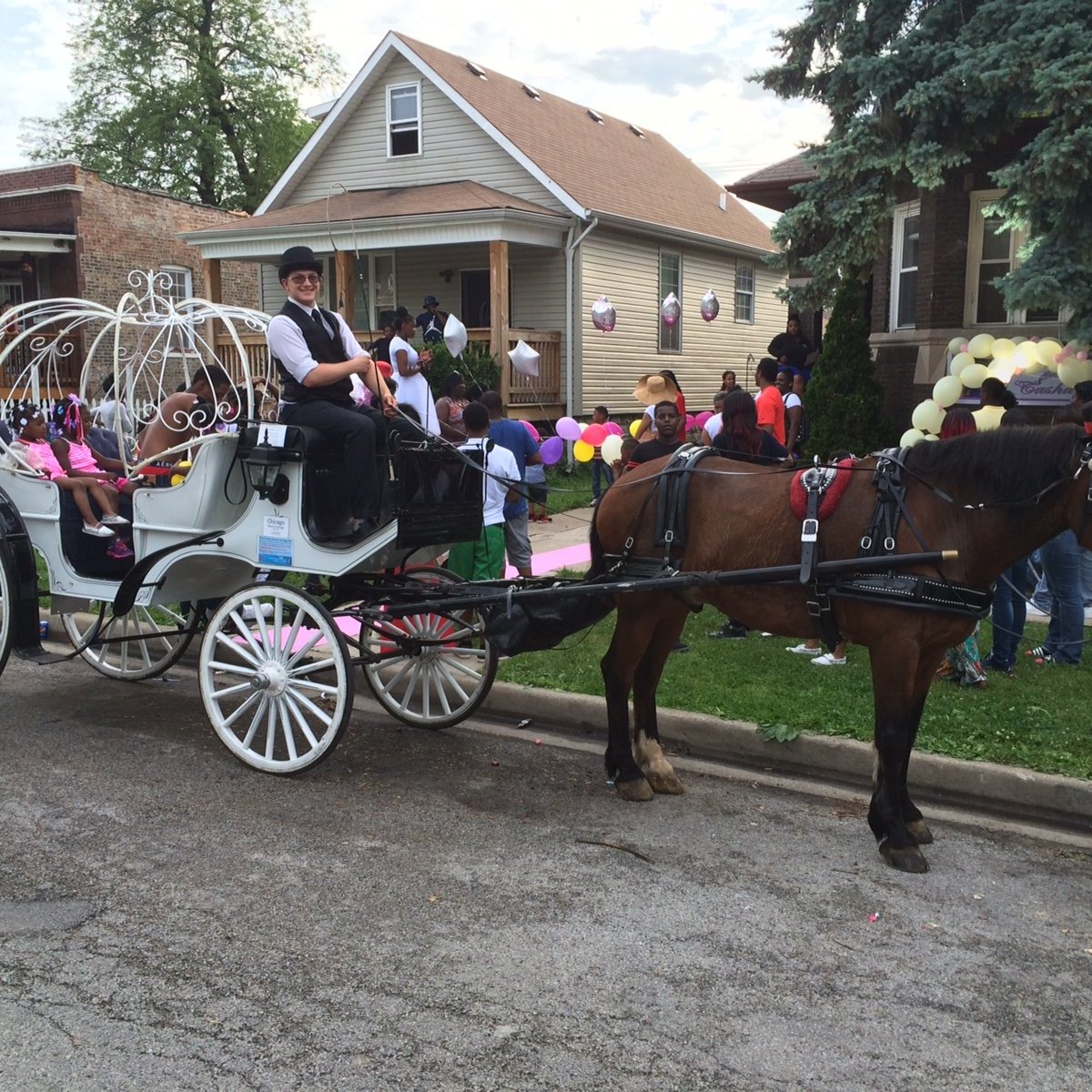 CHICAGO HORSE AND CARRIAGE - 2023 What to Know BEFORE You Go 